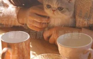 更新不停歇，黑料不打烊官网首页新鲜事儿看这里！