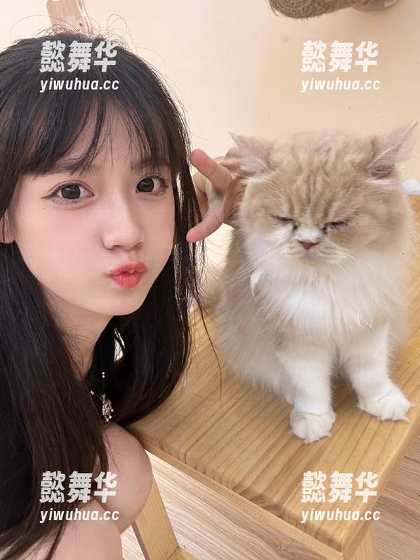 谁在追逐黑料不打烊tttzzz的“入口”？分享一下我的猥琐经验。